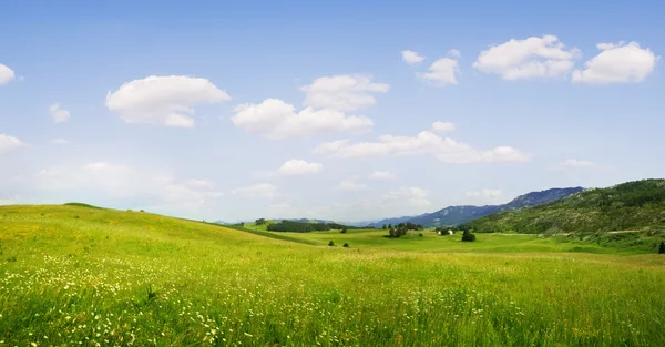 Sommertal — Stockfoto