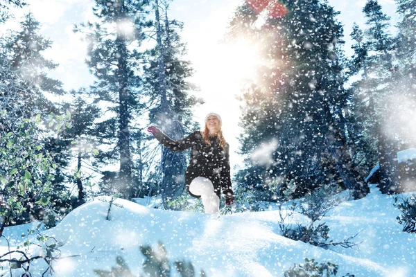 Snow walk — Stock Photo, Image