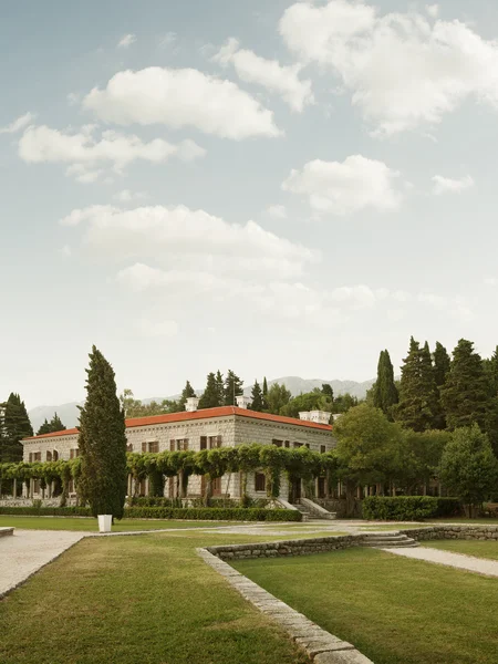 Parque de Verão — Fotografia de Stock