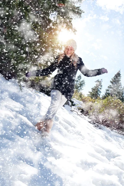 Paseo de nieve — Foto de Stock