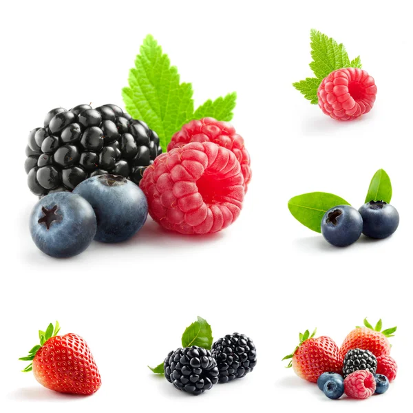 Berry mix — Stock fotografie