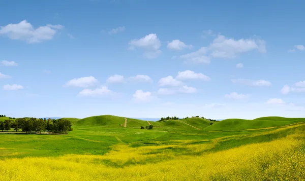 Güneşli hills — Stok fotoğraf