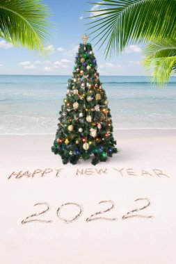 Güzel bir Noel ve yeni yıl temalı tropikal plaj manzarası 