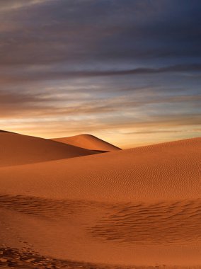 Sands Kumulları Ulusal Parkı 'nda kum tepeleri ve palmiye manzarası