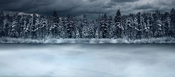 Vista Sulla Foresta Invernale Lago Ghiacciato Fronte — Foto Stock