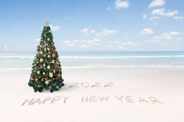 Άποψη Του Ωραία Χριστούγεννα Και Νέο Έτος Θέμα Τροπική Παραλία — Φωτογραφία Αρχείου
