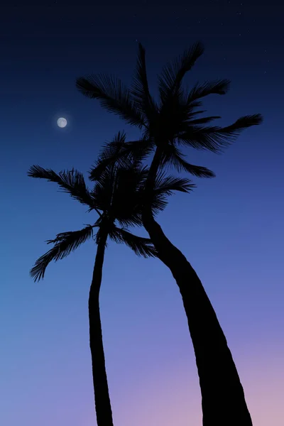 看到两个美丽的棕榈月亮在夜晚热带天空回来 — 图库照片