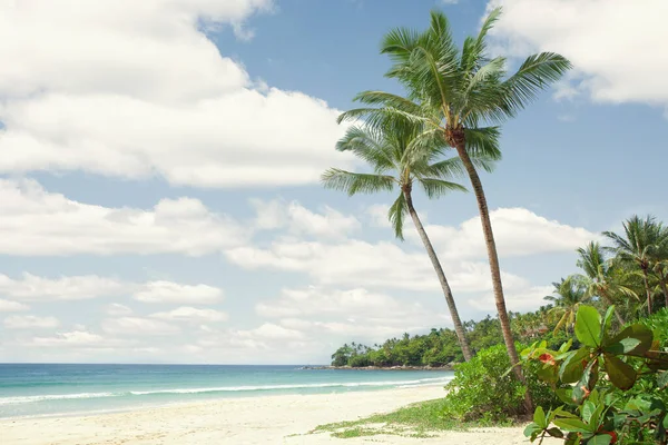 美丽的热带海滩 有一些棕榈树 — 图库照片