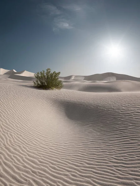 Sands Dunes Ulusal Parkı Ndaki Kumulların Manzarası — Stok fotoğraf