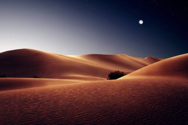 Kaliforniya 'daki Sands Dunes Ulusal Parkı' ndaki kumulların manzarası