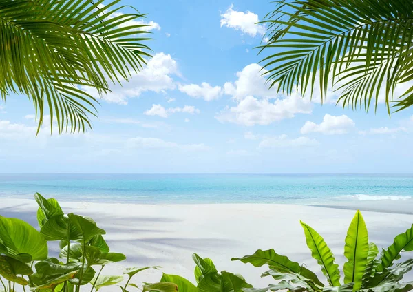 Uitzicht Mooi Tropisch Strand Met Enkele Palmen — Stockfoto