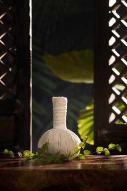 Bitkisel masaj görüntüsünü kapatın. Yeşil sırta sıkıştırın.. 