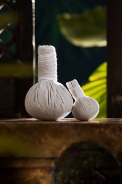 Bitkisel masaj görüntüsünü kapatın. Yeşil sırta sıkıştırın.. 