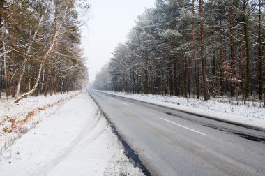 Kışın ormanda yol.