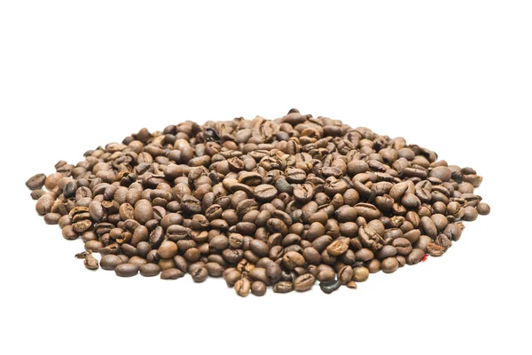 Coffee Bean on white background — Stock Photo, Image