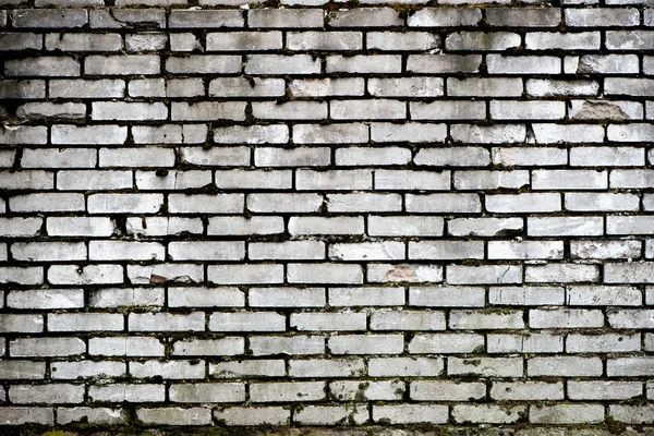 Muro di mattoni - sfondo — Foto Stock