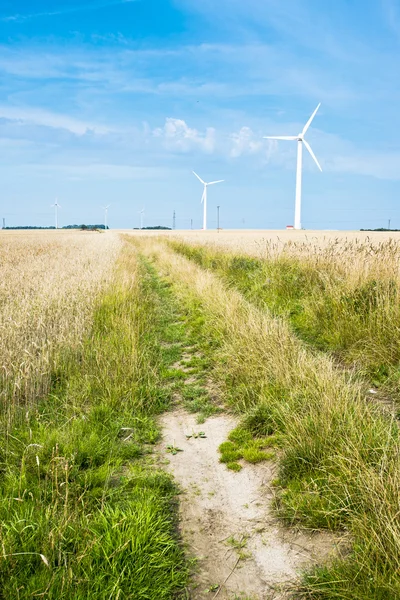 Fältet och wind turbine — Stockfoto