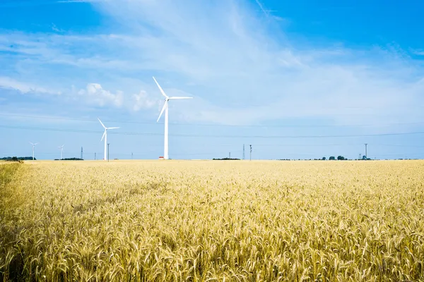Полевые и ветряные турбины — стоковое фото
