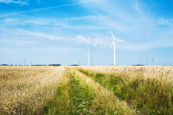 Campo e turbina eolica — Foto Stock