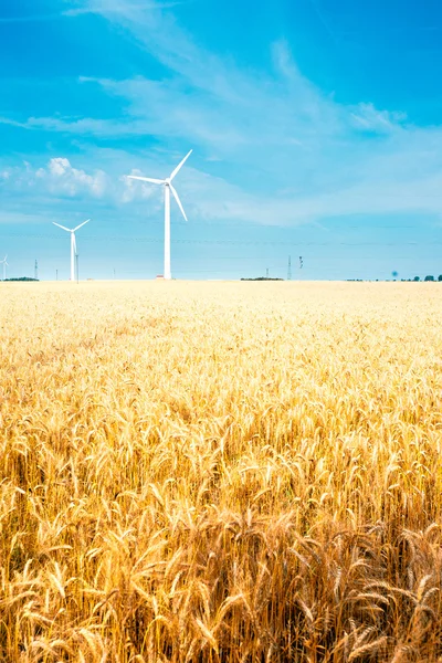 Veld en wind turbine — Stockfoto