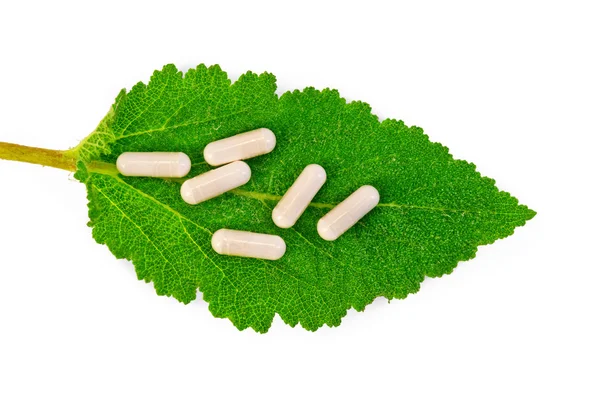 Capsules beige on sage leaf — Stock Photo, Image