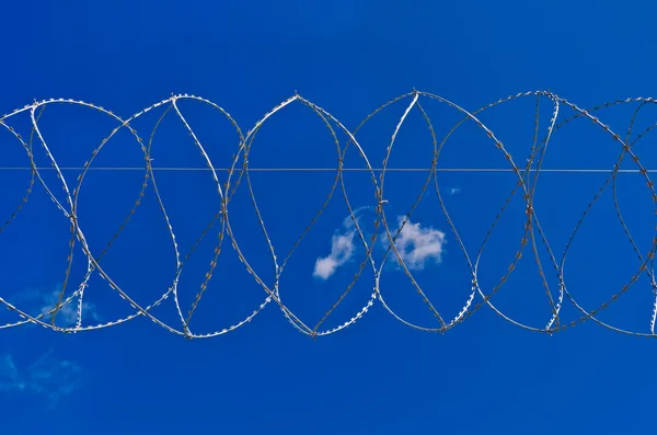 Taggtråd mot himlen — Stockfoto