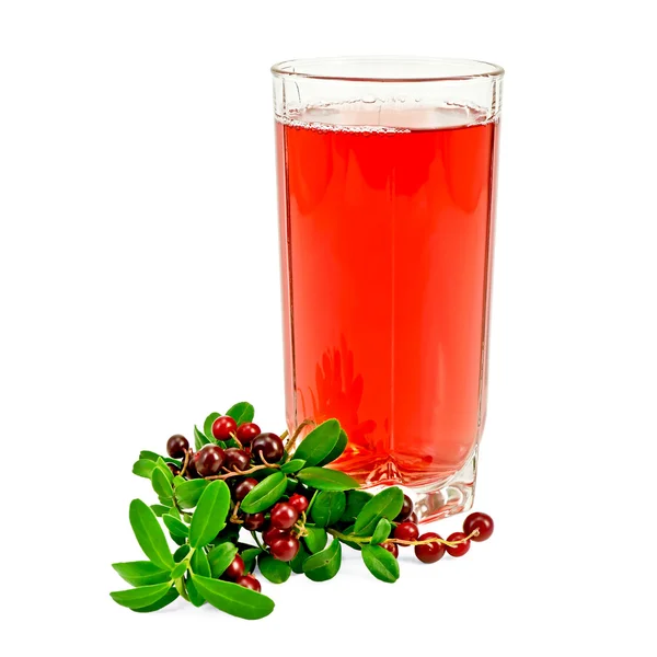 Succo di cowberry con bacche — Foto Stock