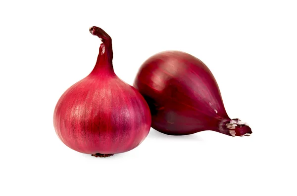 Onion purple — Stock Photo, Image