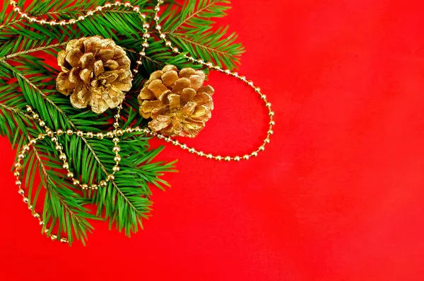 Moldura de Natal com cones dourados — Fotografia de Stock