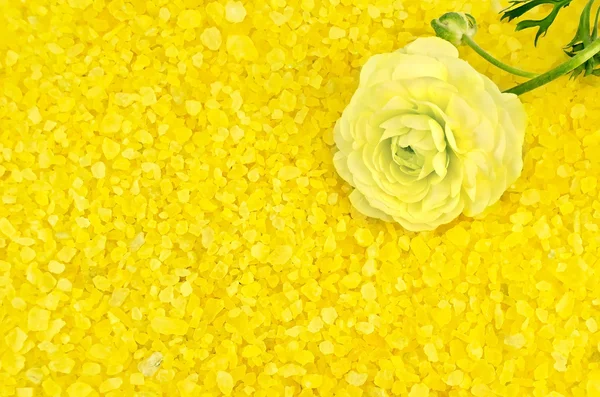 Salt yellow with flower — Stock Photo, Image