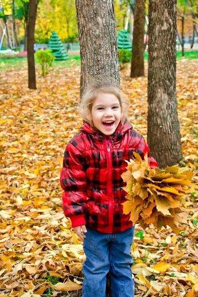 Klein meisje in een rode jas met bladeren — Stockfoto