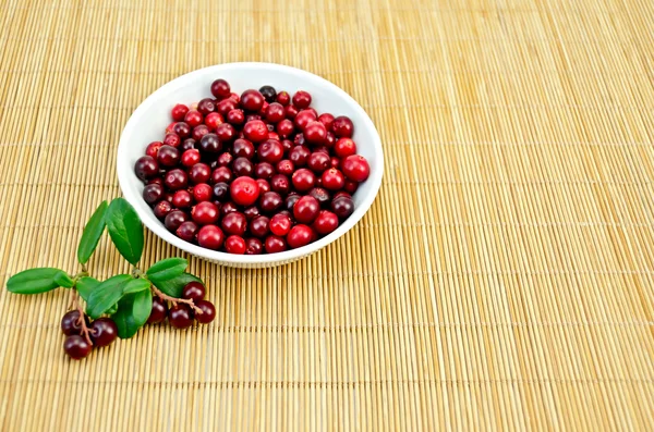 Lingonberry dalam cangkir di tikar bambu — Stok Foto