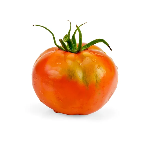 Tomaten ganz — Stockfoto