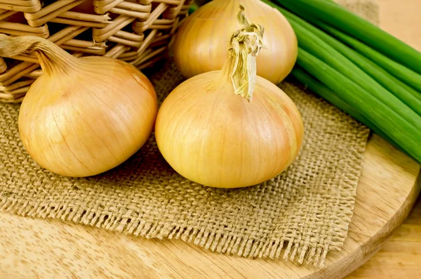 Onions yellow and green — Stock Photo, Image