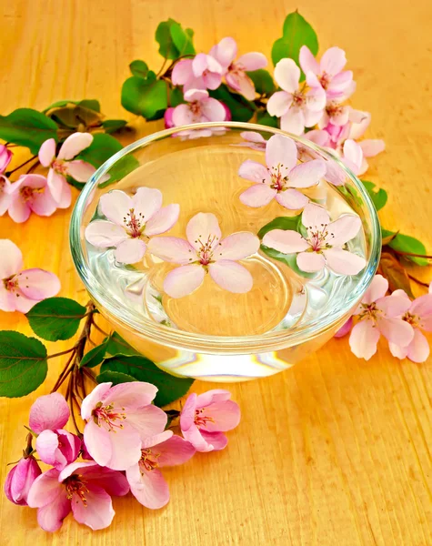 Apple blossom in a cup of water — Stock Photo, Image
