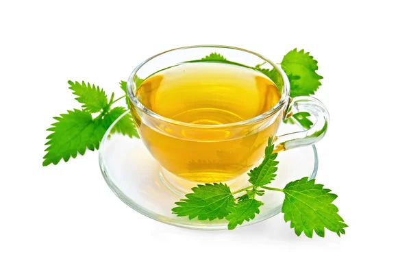 Herbal tea with nettles — Stock Photo, Image