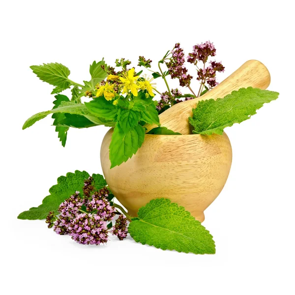 Herbs in a mortar and on the table — Stock Photo, Image