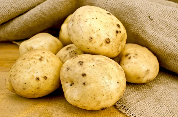 Ziemniaki żółte na zwolnieniu — Zdjęcie stockowe