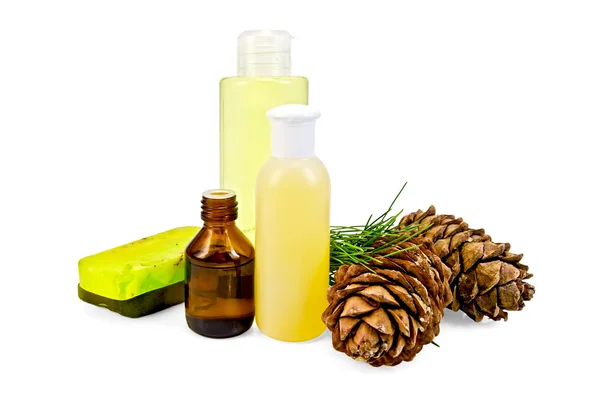 Oil with lotion and cedar cones — Stock Photo, Image
