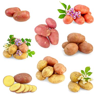 patates farklı set