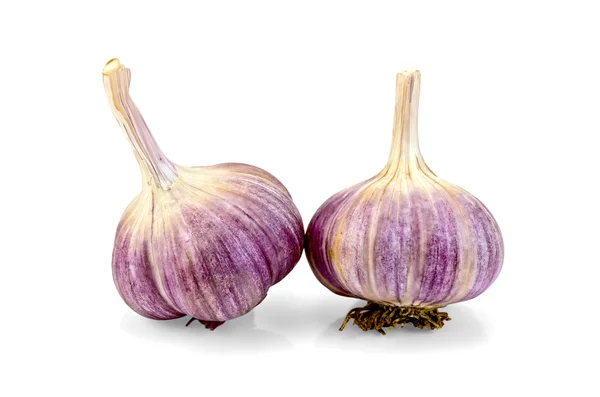 Garlic whole — Stock Photo, Image
