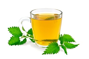 bir kupa nettles ile bitkisel çay