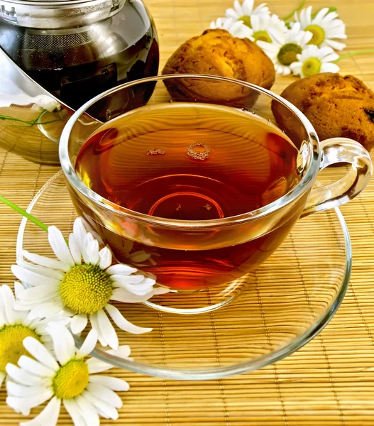 Bylinný čaj s sedmikrásky a konvice — Stock fotografie