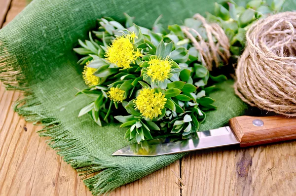 Rhodiola rosea yönetim kurulu — Stok fotoğraf