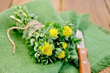 Rhodiola rosea on the board with a knife clipart