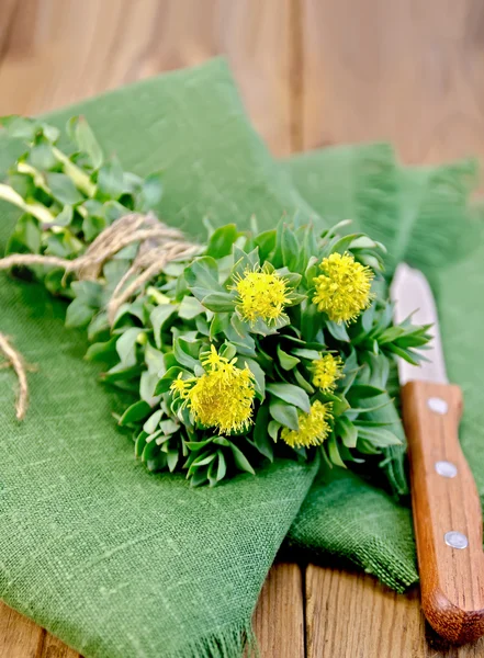 Rhodiola rosea no guardanapo verde — Fotografia de Stock