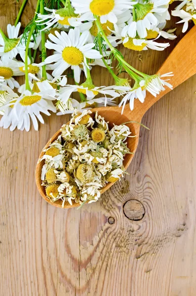 Chá de ervas de camomila seca e fresca na colher — Fotografia de Stock