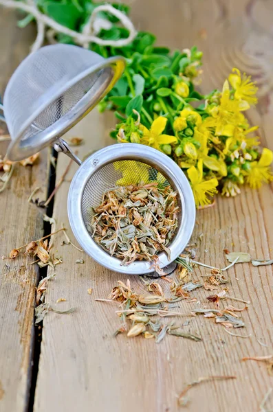 Трав'яний чай з tutsan сухий і свіжий у процідженні — стокове фото