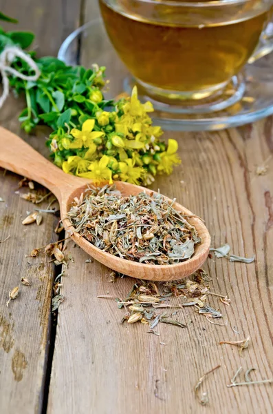 Herbal tea from tutsan dry and fresh on the spoon — Stock Photo, Image