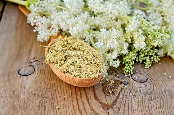Té de hierbas de pradowsweet seco en una cuchara — Foto de Stock
